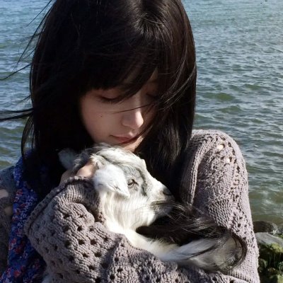 两只小猪之勇闯神秘岛